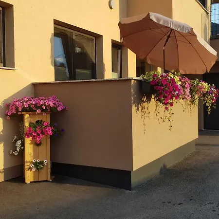 公寓 Klingenschmid *